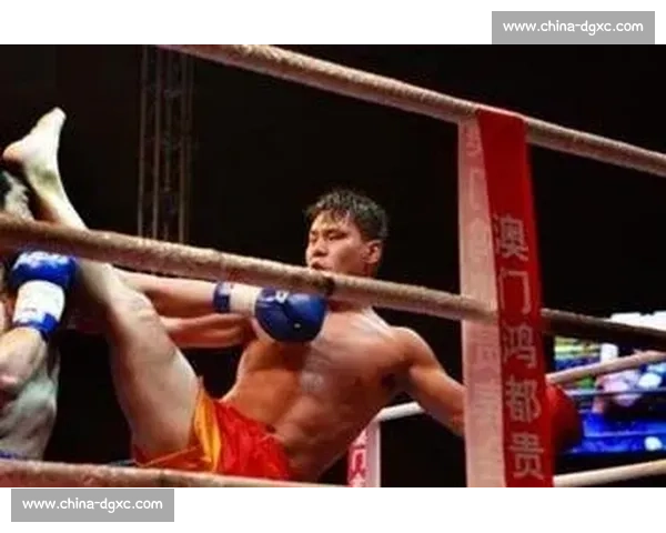 边茂富对决柳海龙巅峰一战视频回顾与技术细节全解析经典瞬间深度盘点